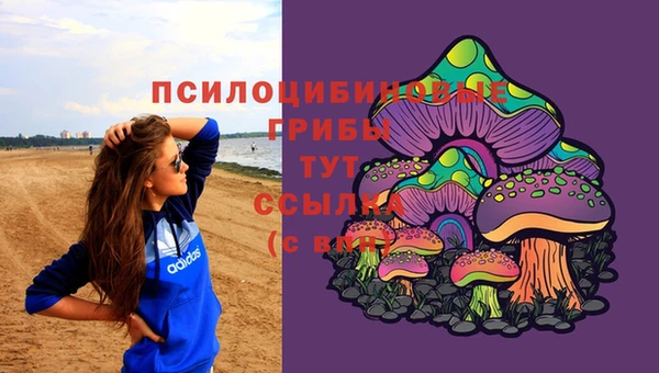 apvp Коряжма